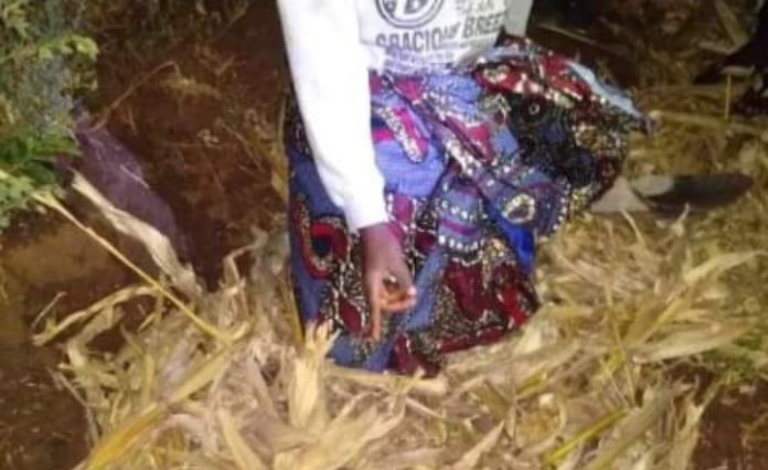 Screenshot_20230804-085827