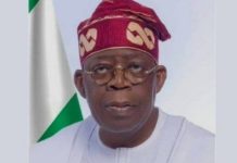 Tinubu Calls on Nigerians Abroad to Return, Says Nation Is Rising Again