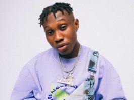 Govt is absolutely silent about hardship in Nigeria — Singer Zlatan laments